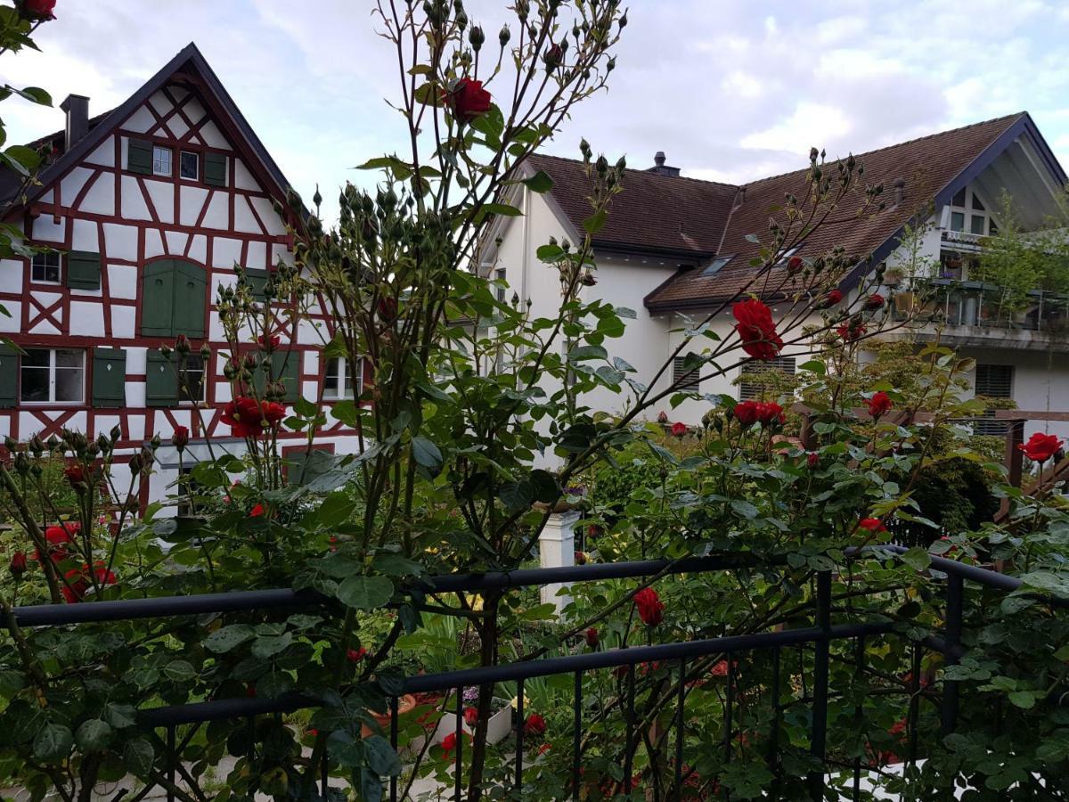 Garni-Hotel Mühletal Stein Am Rhein Exterior foto