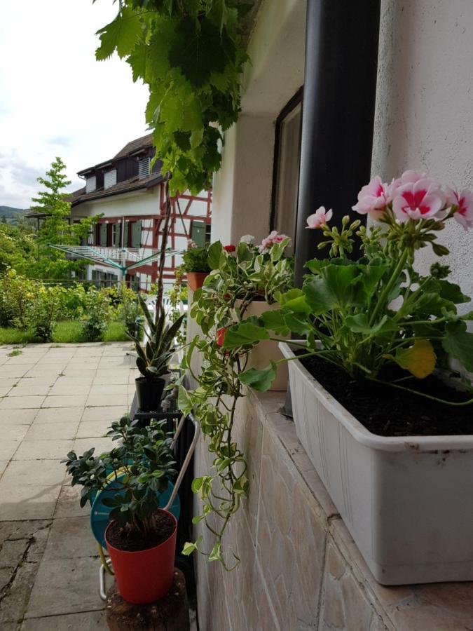 Garni-Hotel Mühletal Stein Am Rhein Exterior foto