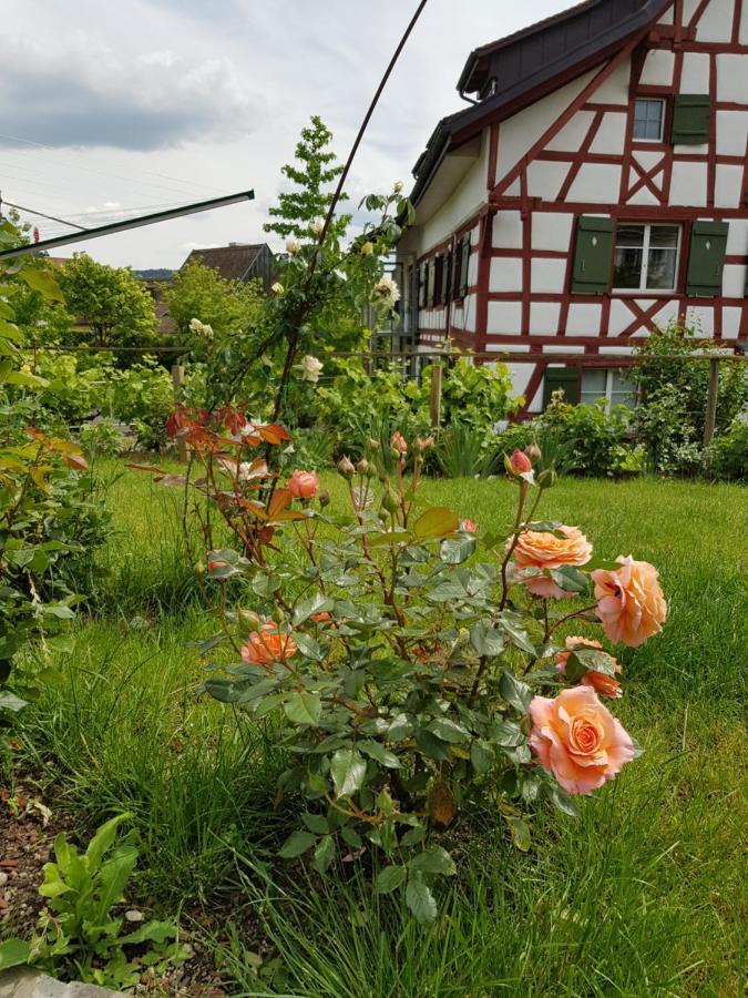 Garni-Hotel Mühletal Stein Am Rhein Exterior foto